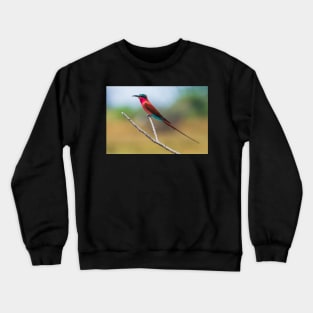 Southern Carmine Bee-eater (Merops nubicoides) Crewneck Sweatshirt